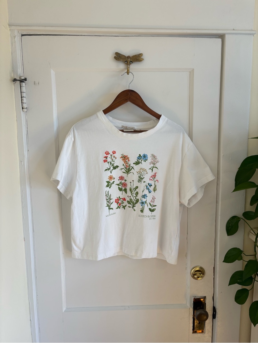 Scotch & Soda Botanical Print Boxy Cropped White Crewneck Tee XL